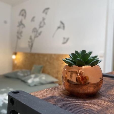 La Maison D'Angelique - Colocation Hoteliere A 150M Gare Tgv- Grande Cuisine Equipee & Salon - Fibre - Netflix Niort Eksteriør billede