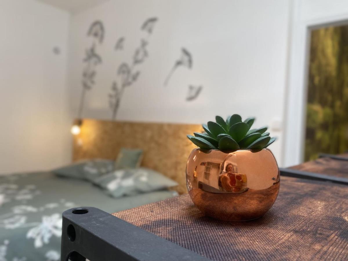 La Maison D'Angelique - Colocation Hoteliere A 150M Gare Tgv- Grande Cuisine Equipee & Salon - Fibre - Netflix Niort Eksteriør billede